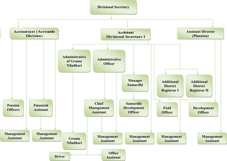 org structure en